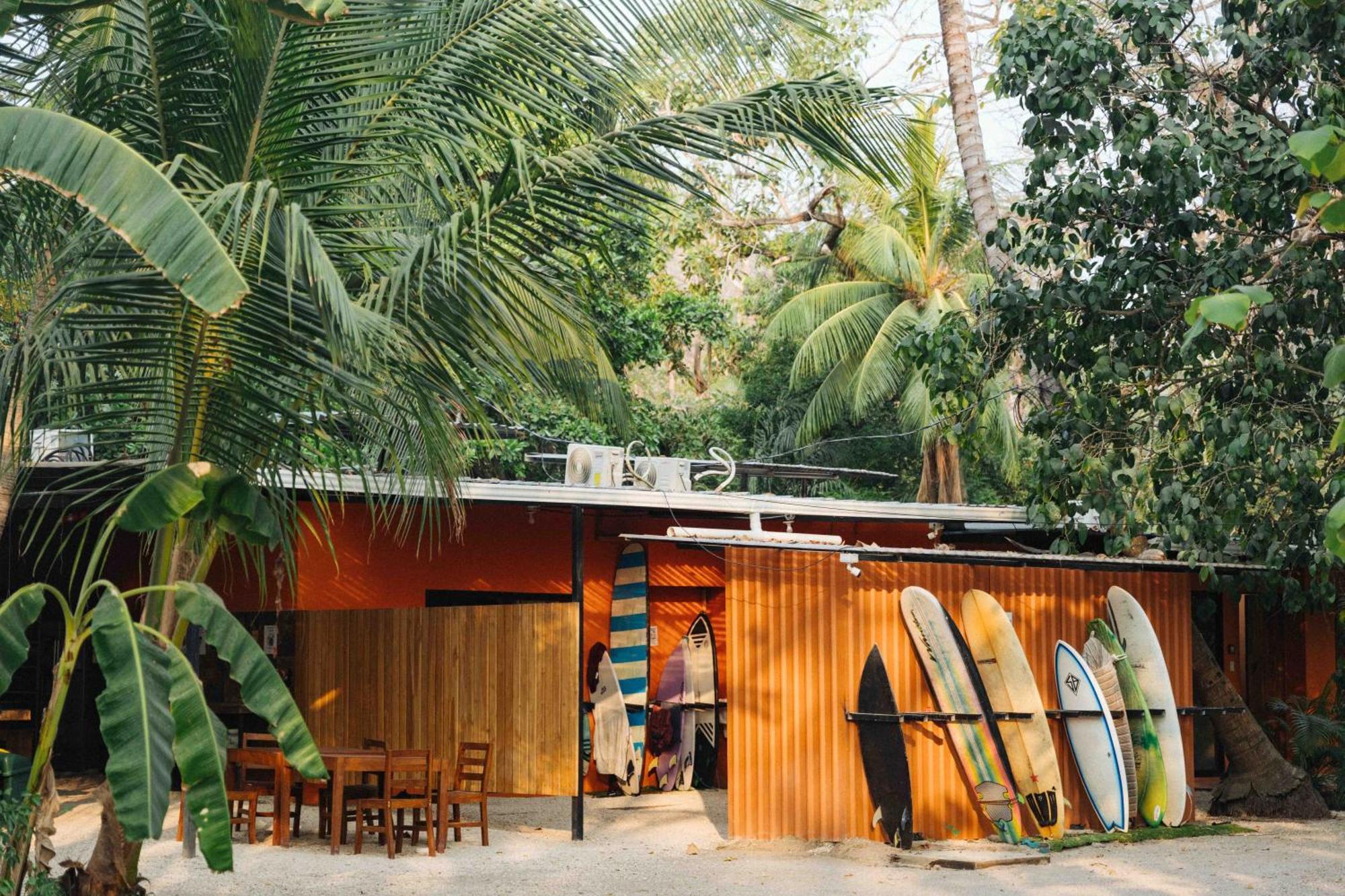 Zeneidas Surf Garden Playa Santa Teresa  Luaran gambar